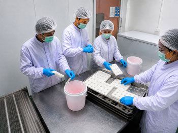Removing Gelato Pops from the molds