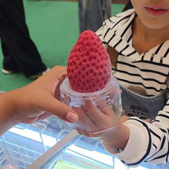 Strawberry bigger than strawberry