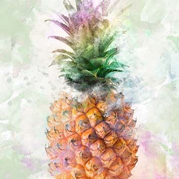 Pineapple art