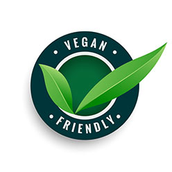 vegan friendly ice cream